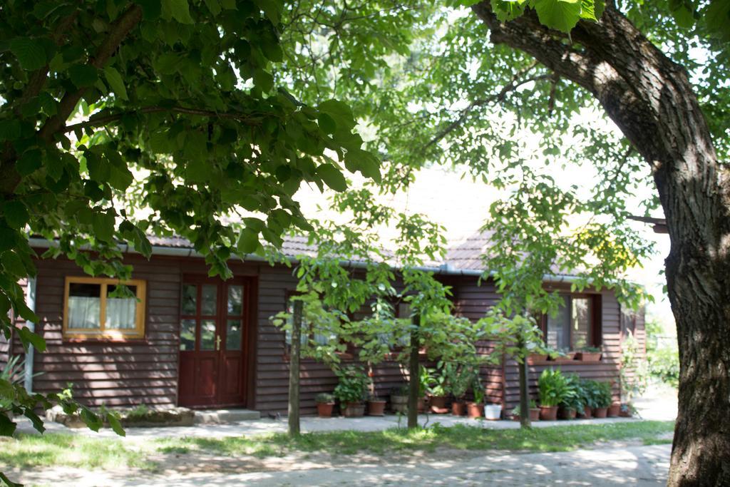 Ceglédpuszta Holiday Home Melinda מראה חיצוני תמונה